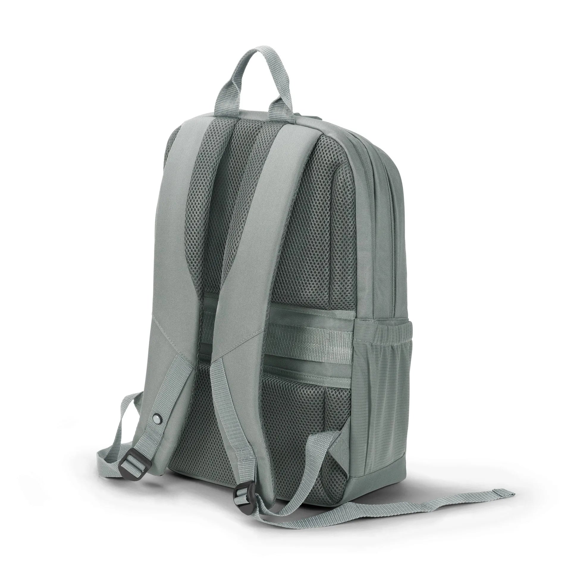 D31733-RPET_02