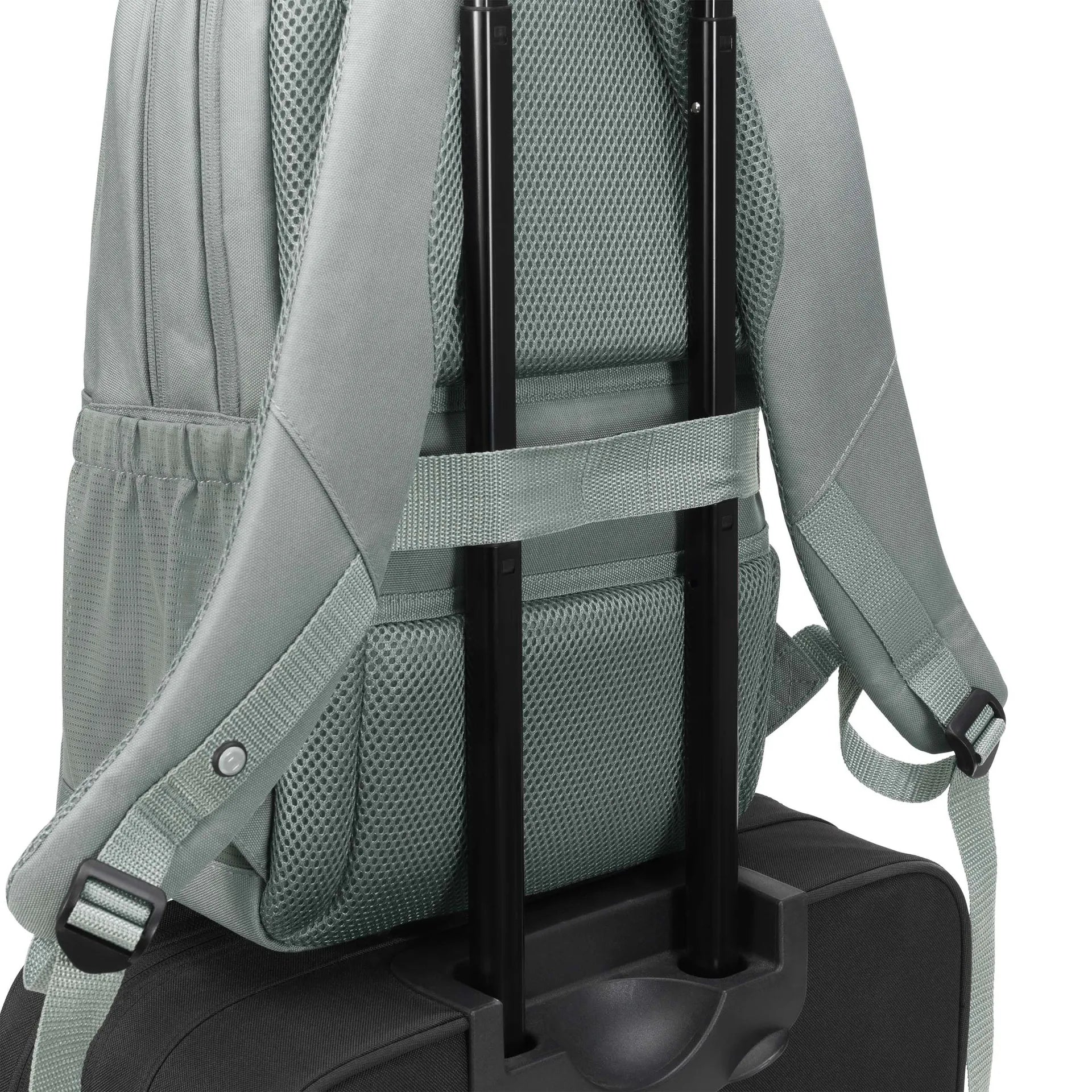 D31733-RPET_08