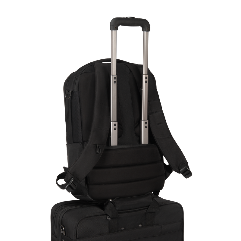 Trolley Pasek