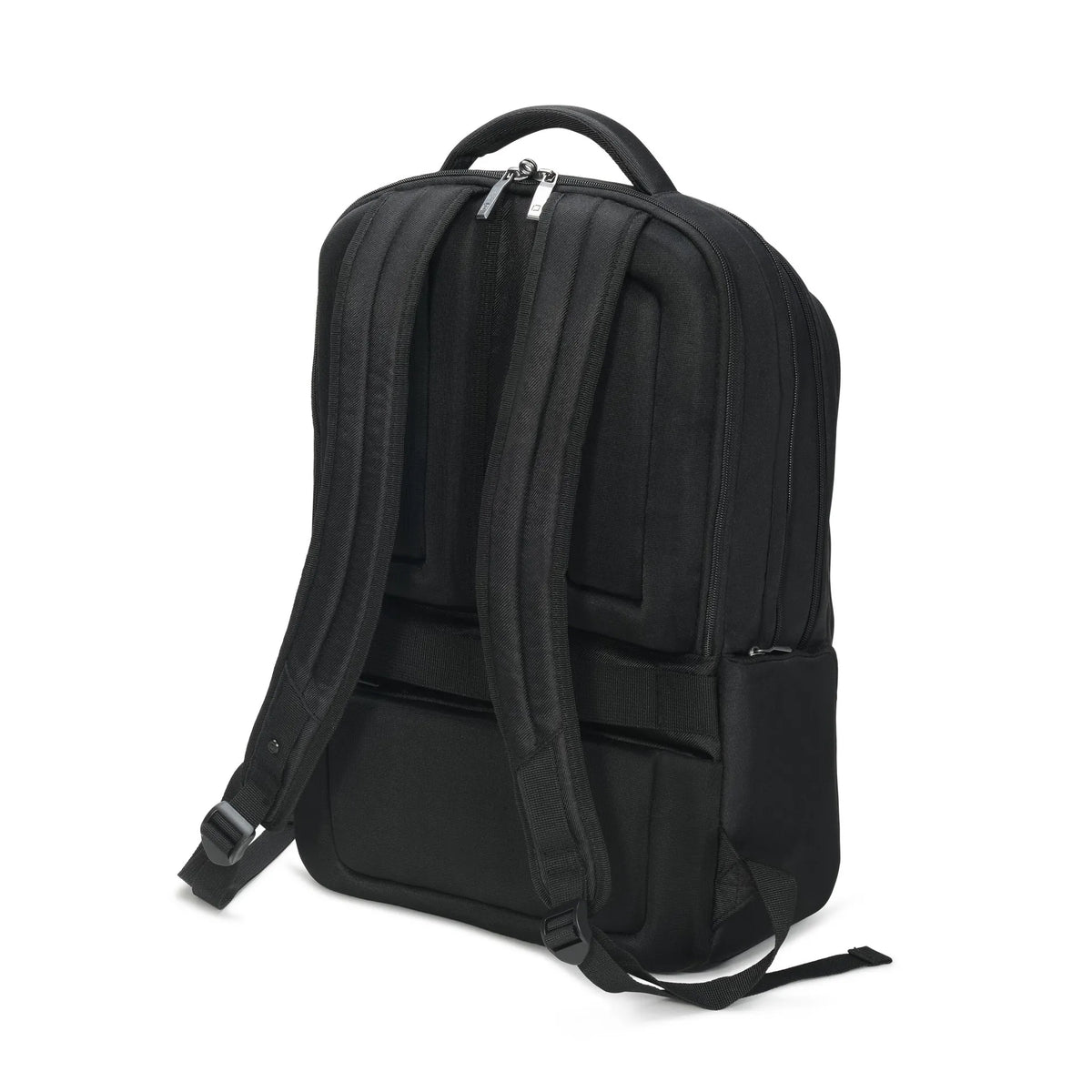 D31637-RPET_02