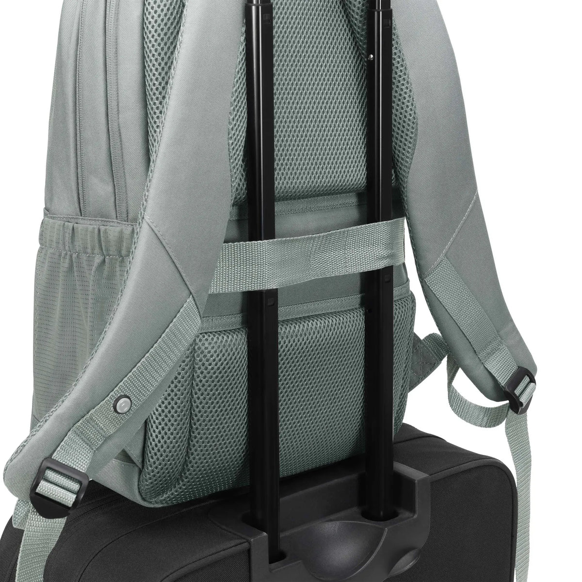 D31733-RPET_08