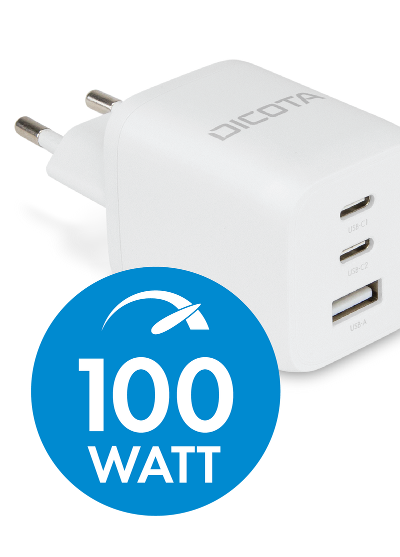 Maksymalna moc wyjściowa 100 W