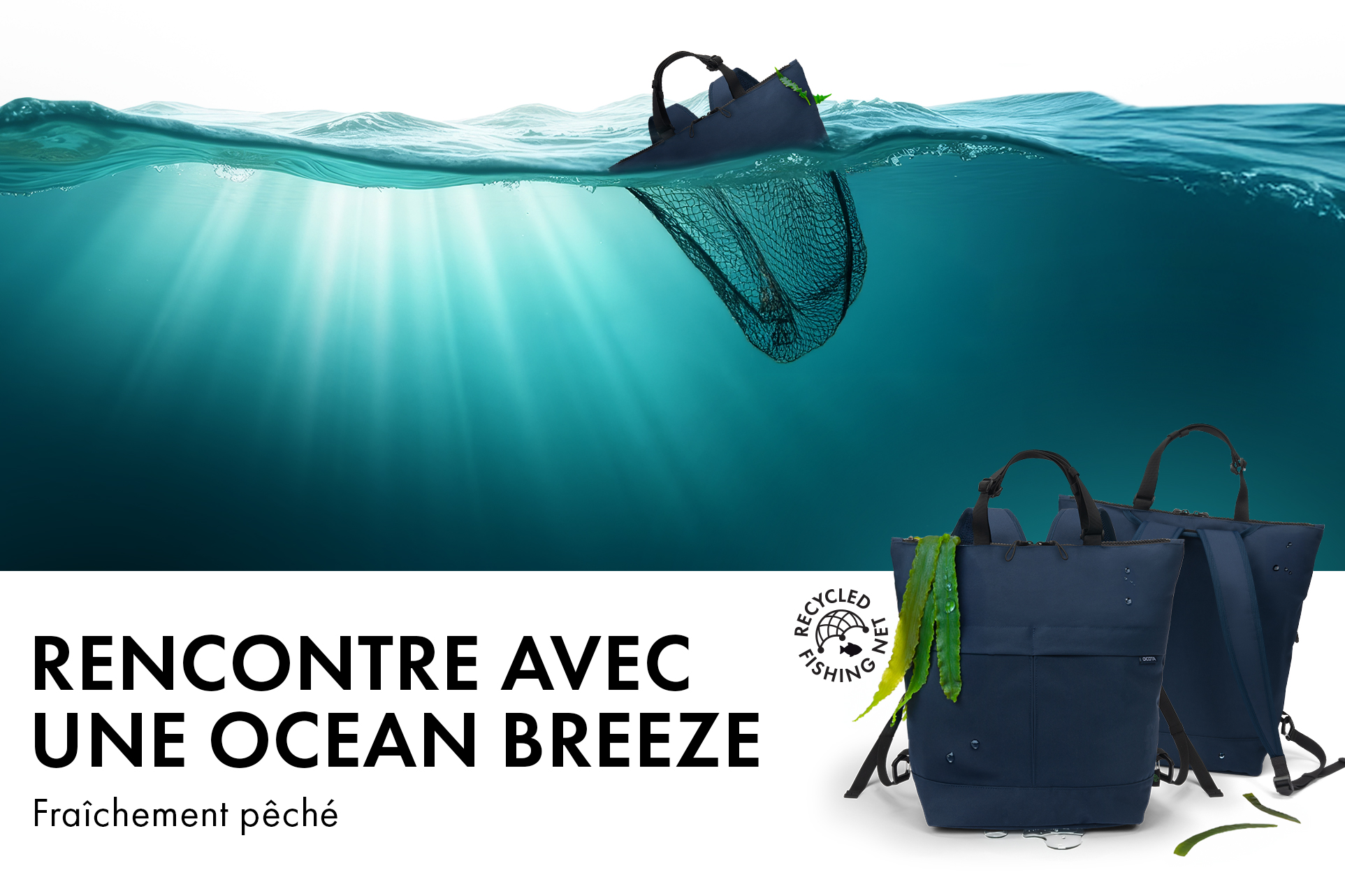 Rencontre avec une Ocean Breeze - Fraîchement pêché